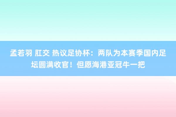 孟若羽 肛交 热议足协杯：两队为本赛季国内足坛圆满收官！但愿海港亚冠牛一把
