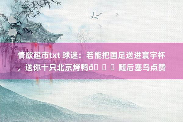 情欲超市txt 球迷：若能把国足送进寰宇杯，送你十只北京烤鸭😝随后塞鸟点赞