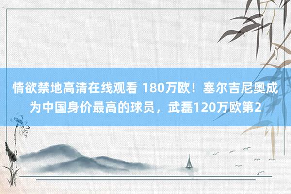 情欲禁地高清在线观看 180万欧！塞尔吉尼奥成为中国身价最高的球员，武磊120万欧第2